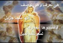 OrSoZoX CoM مجد مريم