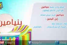 إسم ومعنى الحلقة 26 - بنيامين - قناة كوجى القبطية الارثوذكسية للاطفال